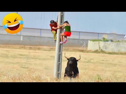 Try Not to Laugh Challenge #31 🤣 Best Fails of the week