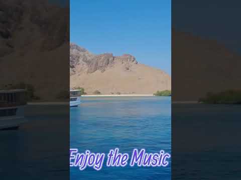 Enjoy the calm of the sea #jazz #music #beach #smoothjazz
