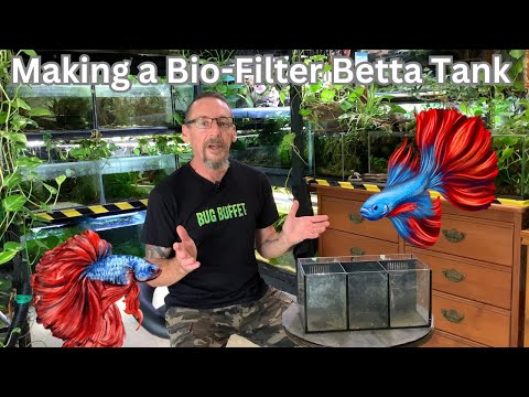 Making a Bio-Filter Betta Tank