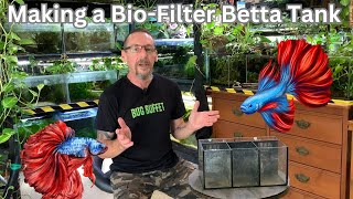Making a Bio-Filter Betta Tank