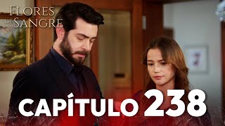 Flores de Sangre Capítulo 238 | Kan Cicekleri Subtítulos en Español