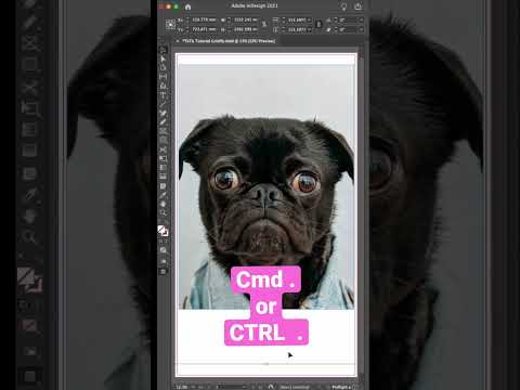 Best Shortcut in Adobe InDesign
