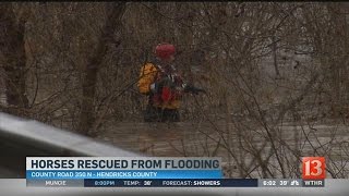 Horses stranded in Hendricks County flood waters have been rescued (Sunday 6PM)