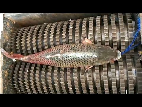 Satisfying Crusher Machine and Sound That Can Destroy Anything
