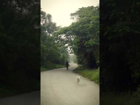 Gravel bike roaming around Bukit Beruntung
