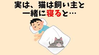 猫の役に立つ雑学 #猫 #雑学 #豆知識 #聞き流し #ねこ