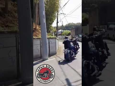 Ride into freedom