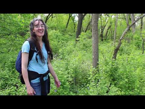 Color Walk with Miss Julie