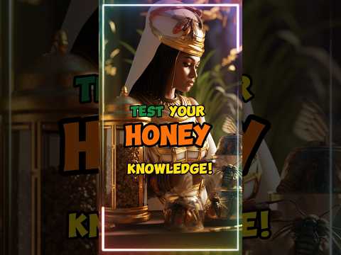 🍯 Liquid Gold: World of Honey 🐝🍯 #shorts #honey
