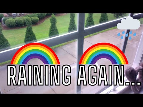 A NORMAL DAY WHERE I LIVE...
