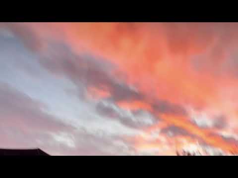 Maggie May Live Stream