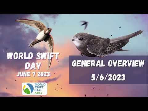 General Overview - World Swift Day