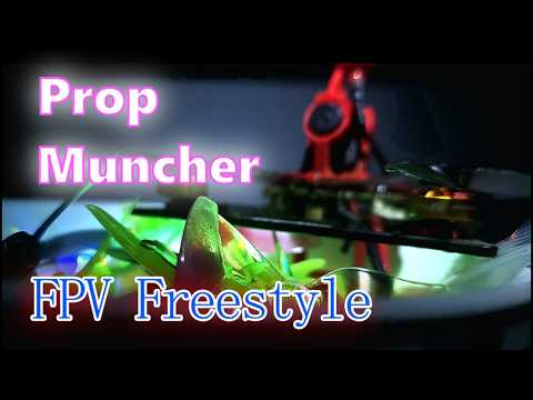 2.2" Props / 1003 /  HDzero AIO15 / 2s Freestyle comp.