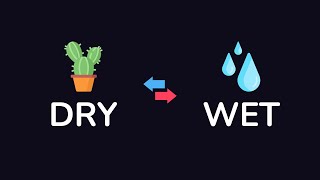 The DRY Programming Principle