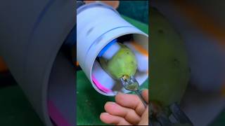 Learning to make a fruit cleaning tool #diyfixes #diy #invention#repair#Reconstruction#broken equipm