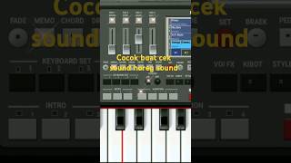 #djceksoundterbarufullbass