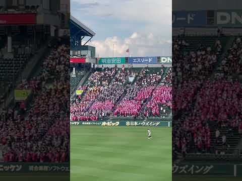 叡明応援　サスケ#高校野球#応援#叡明#津田学園##花咲徳栄#甲子園#サスケ#アルプス