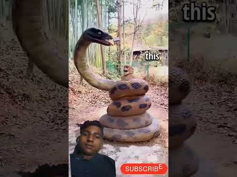 #snake #animals #cobra #anaconda #python #beastshorts #ytshorts