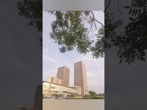 騎共享單車瞎逛