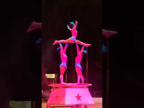 Jumbo Circus : The show timing is 1:00 PM, 4:00 PM & 7:00 PM.  TheRs 100, Rs 150 and Rs 250.