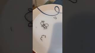 Science experiments for kindergarten