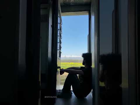 What a view outside the train |#train #travel