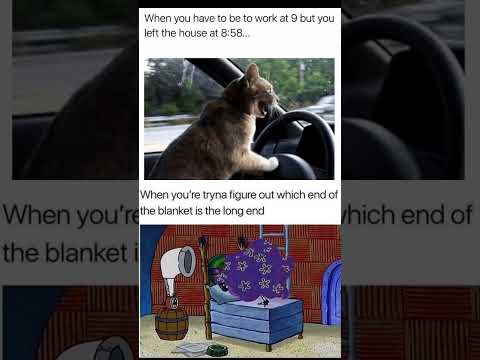 TOP relatable memes everyone can relate with #memes #memesdaily #funny #comedy