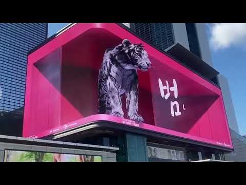 Immersive Media Activation