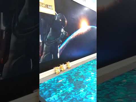 #TECHON #LEDVIDEOWALLS P10 P8 P6 P4 P3 INDOOR OUTDOOR RENTAL FIXED SCREENS