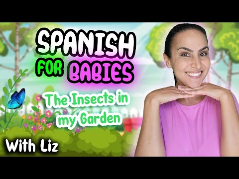 Simple Interactive Spanish for Babies & Toddlers: Fun with Bugs! Itsy Bitsy Spider | Baby Bumblebee