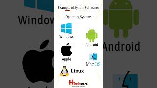 Types of software in computer