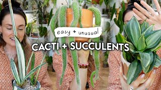 I Wasn't a Cactus Person... THESE CHANGED MY MIND! 🌵