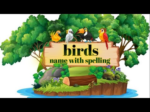 birds name & spelling | birds name spelling & sound | birds name in english | birds name & sound