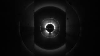 Puesto - Mancuso | Visual Concept