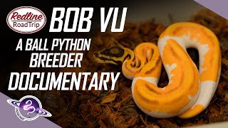 Bob Vu | A Ball Python Breeder Documentary | Redline Road Trip #ballpython #snakes #snake #pets #pet
