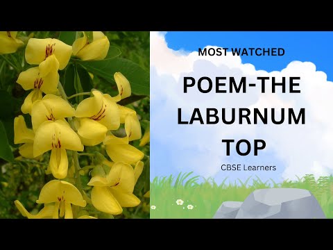 The Laburnum Top (Poem) 🤯| Class 11|Line by line NCERT explanation | Hornbill CBSE Eng😎