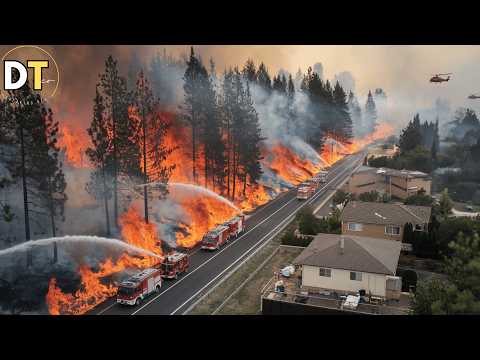 Israel in flames! Massive wildfires near Jerusalem lead to evacuations!