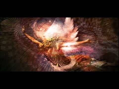 Symbolic & Sonic Species - Alma Libre