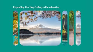 Learn to Build an Expandable Image Gallery with HTML and CSS