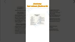 Anatomy last minute flashcards #anatomy #mbbs #bds #shorts