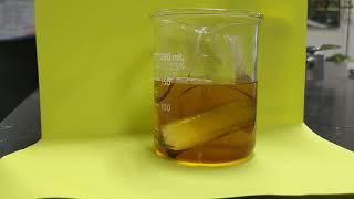 Diffusion Lab (Starch and Iodine)