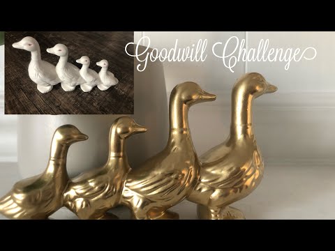 $5 Goodwill Challenge| Spring 2020 edition