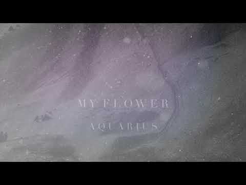 MY FLOWER - Aquarius