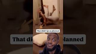 GET SOMEWHERE AND SIT DOWN SMH! #🤦🏾‍♂️ 🫠 #fyp #shorts #comedy #jokes #bwattstv