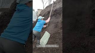 Bagging Black Gold: Turning Compost into Garden Fuel