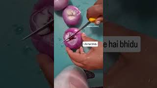 #lifehaibhidu