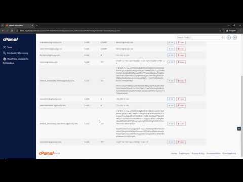 How to Add DNS Record in cPanel | BigCloudy