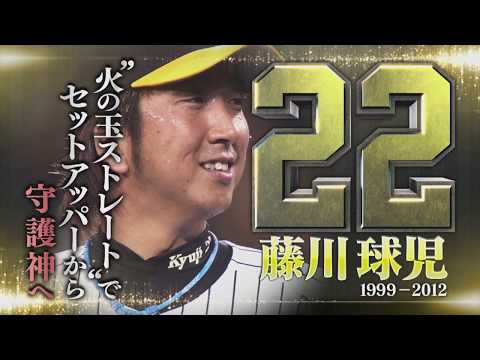 【公式】「虎の背番号列伝」特別映像