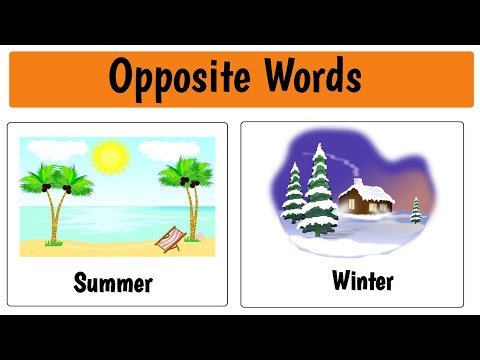 Opposite Words In English | Opposite words | Antonyms | Opposites