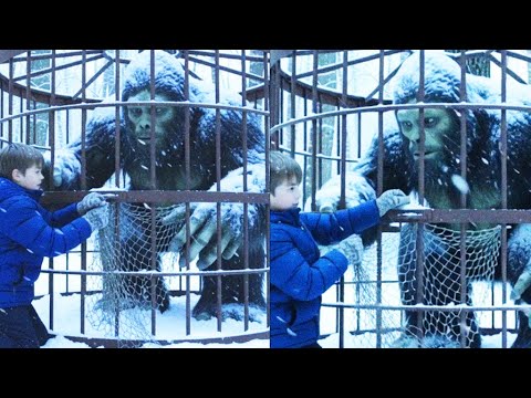 Rancher Boy Broke a Bigfoot Out Of Captivity, Then A Tribe Showed at Their Steps - Sasquatch Story